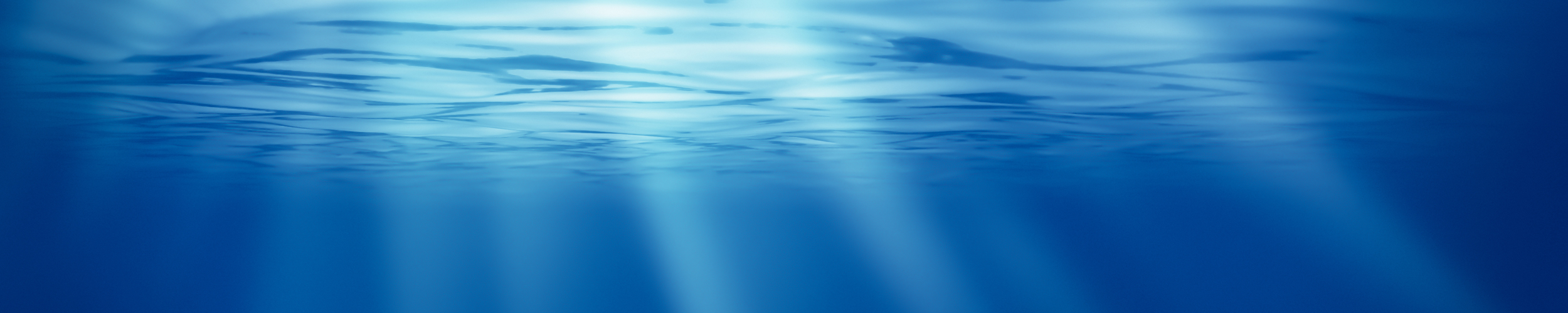 About Us | Miluc International Holdings, Inc. (Miluc) is an employee-owned, ISO 9001:2015 Management System certified marine services contractor providing worldwide manned and unmanned underwater operations and engineering services to a diverse set of clients worldwide.